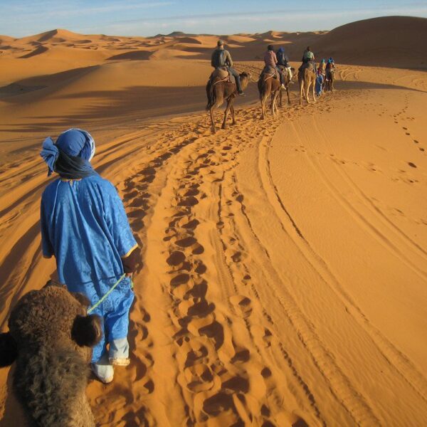 Tour 4 Giorni da Casablanca al Deserto Sahara e Marrakech