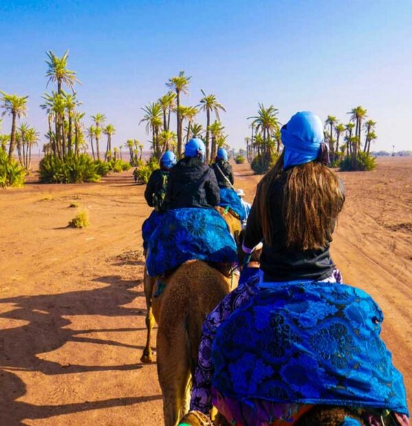 Giro in Cammello nella Palmeraie di Marrakech